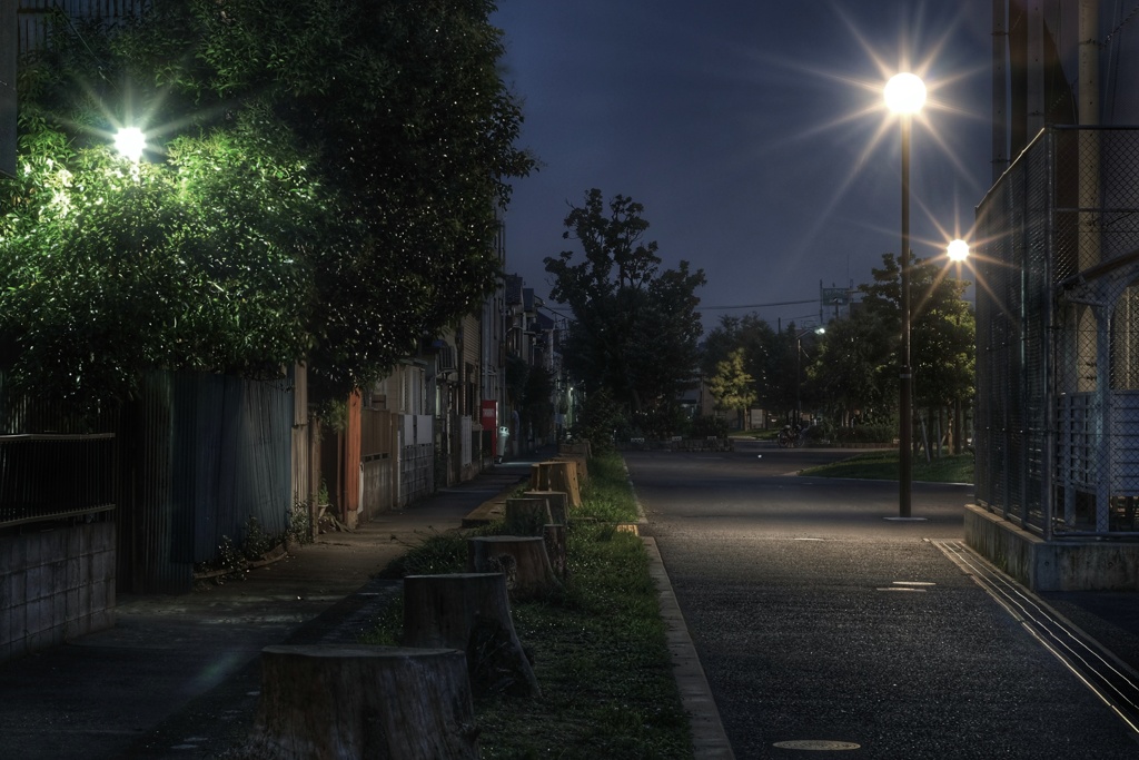 夜の公園