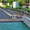 昭和の日の昭和駅