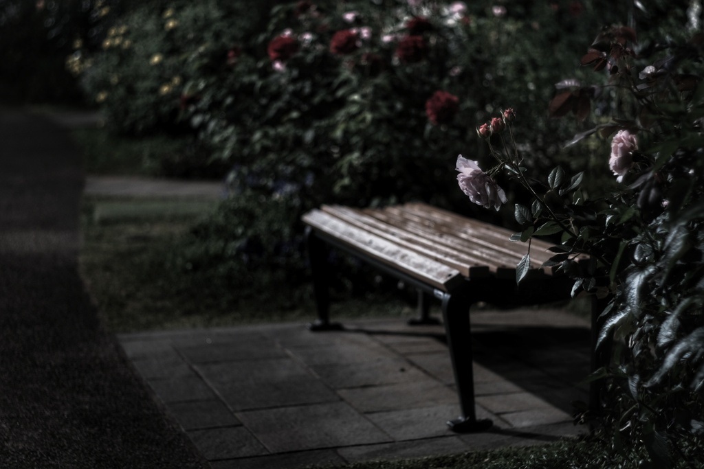 夜更けのベンチ