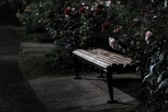 夜更けのベンチ