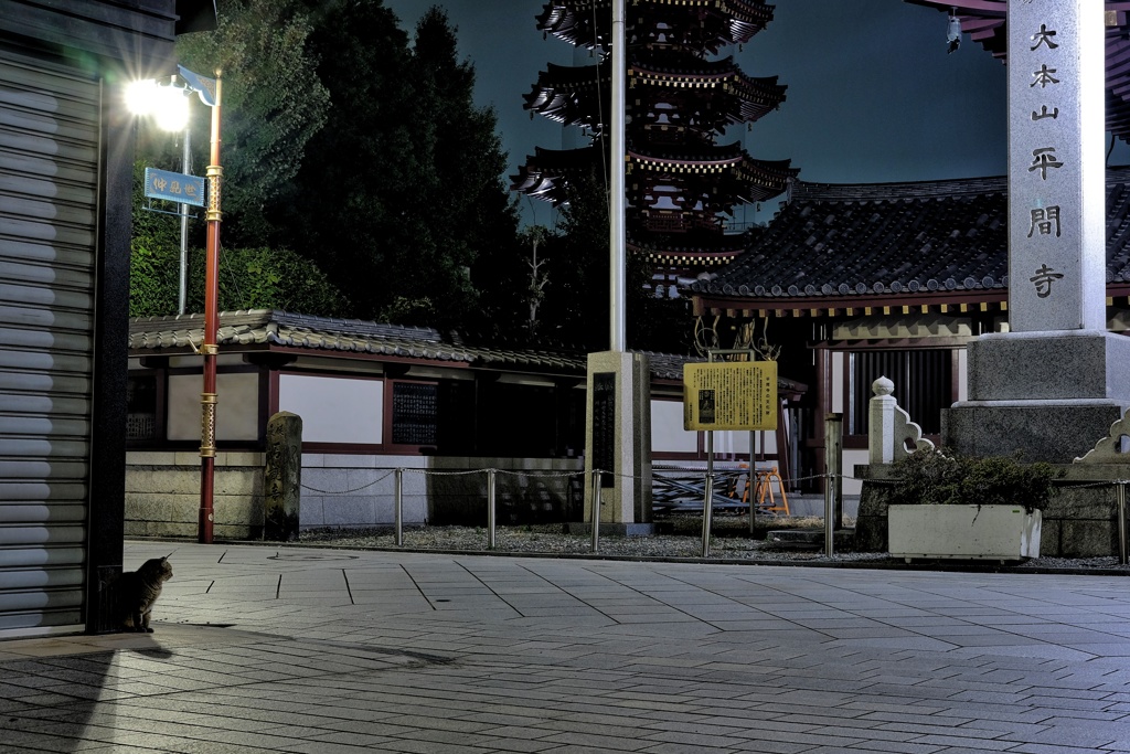 真夜中の川崎大師平間寺 門前