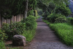 遊歩道