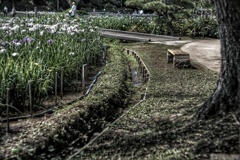 Yokosuka Iris Garden