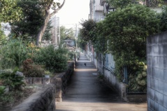 公園脇の路地