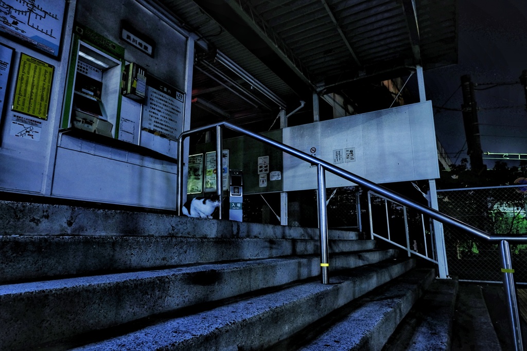 真夜中の浜川崎駅