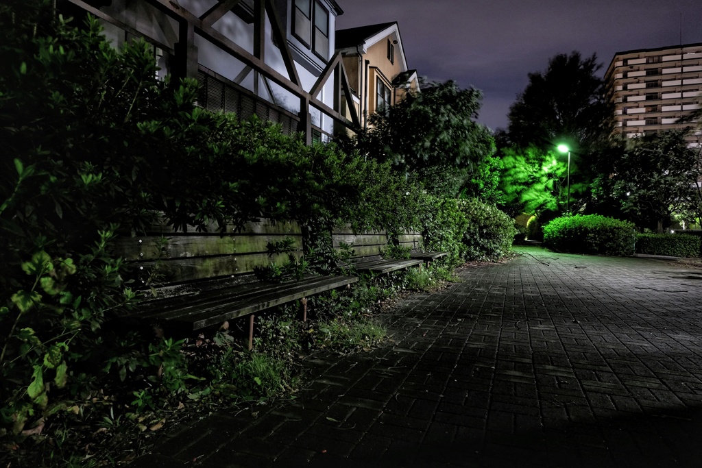 真夜中の遊歩道 草木に埋もれつつあるベンチ