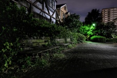真夜中の遊歩道 草木に埋もれつつあるベンチ