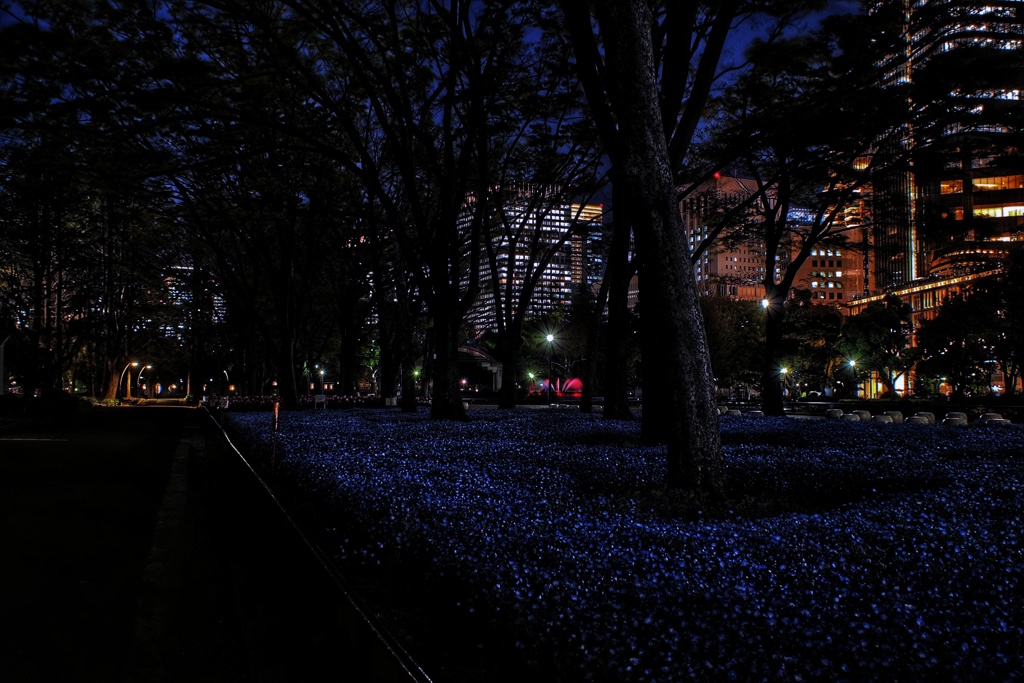 四月の日比谷公園、夜