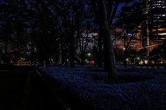 四月の日比谷公園、夜