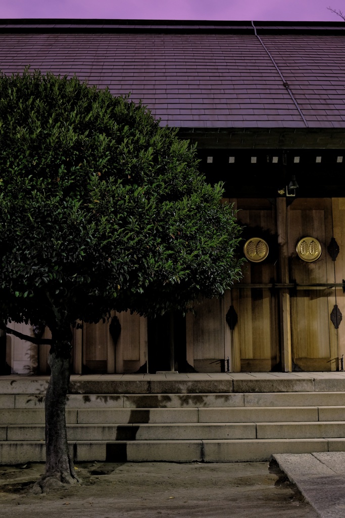 杉山神社(横浜市鶴見区岸谷)社殿前の樹