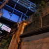 夜の国道駅