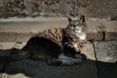 眠そう