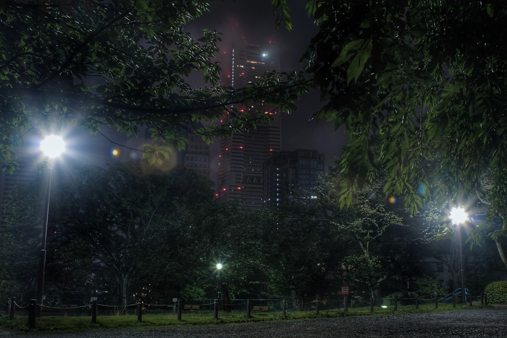 真夜中の掃部山公園