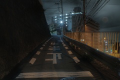 夜中の伊勢山皇大神宮へと続く急坂