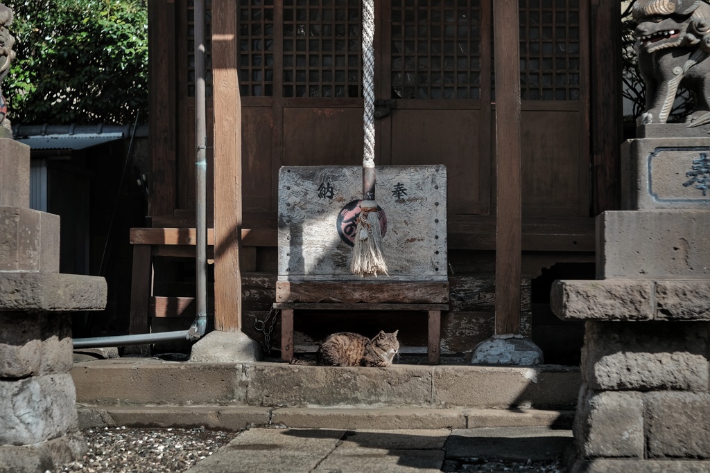 朝の水神宮……