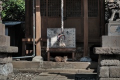 朝の水神宮……