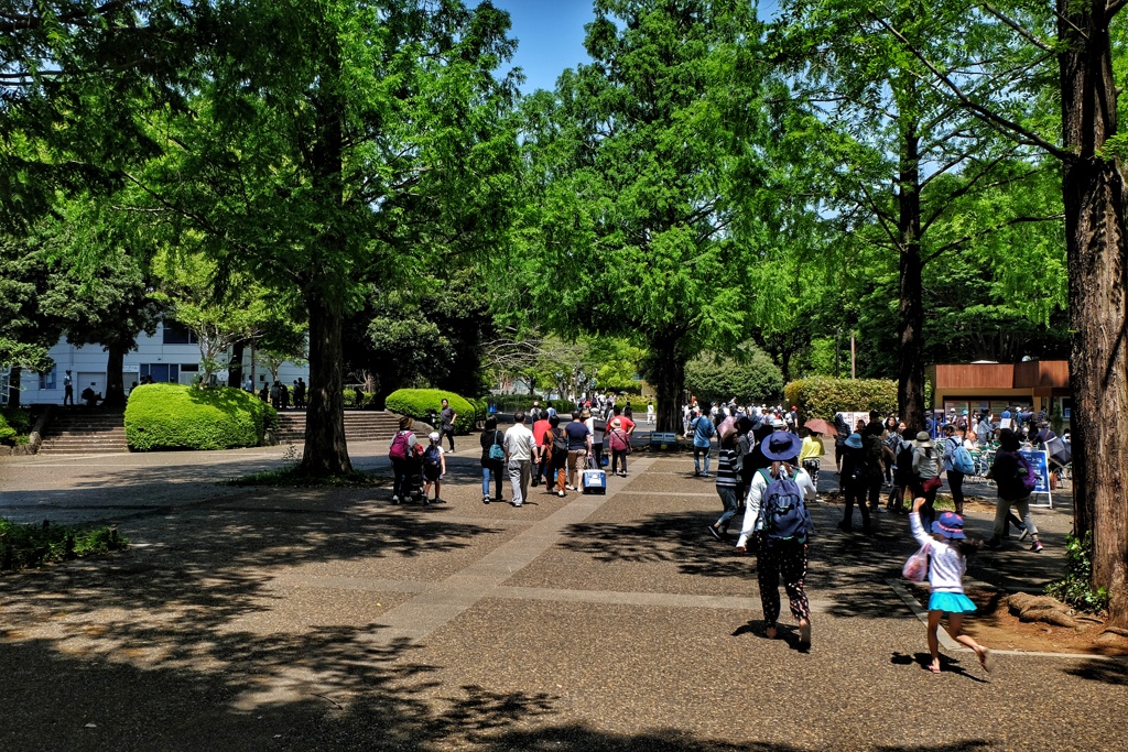 昭和の日の昭和記念公園