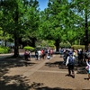 昭和の日の昭和記念公園