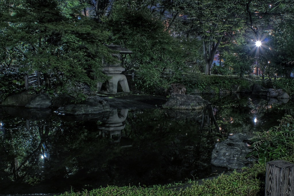 真夜中の掃部山公園 日本庭園