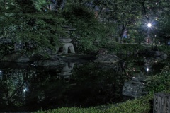 真夜中の掃部山公園 日本庭園