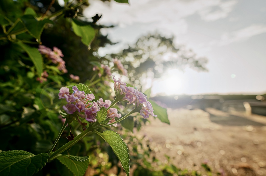 B64C4DA8-4290-4404-9E73-7EB918BD96A9