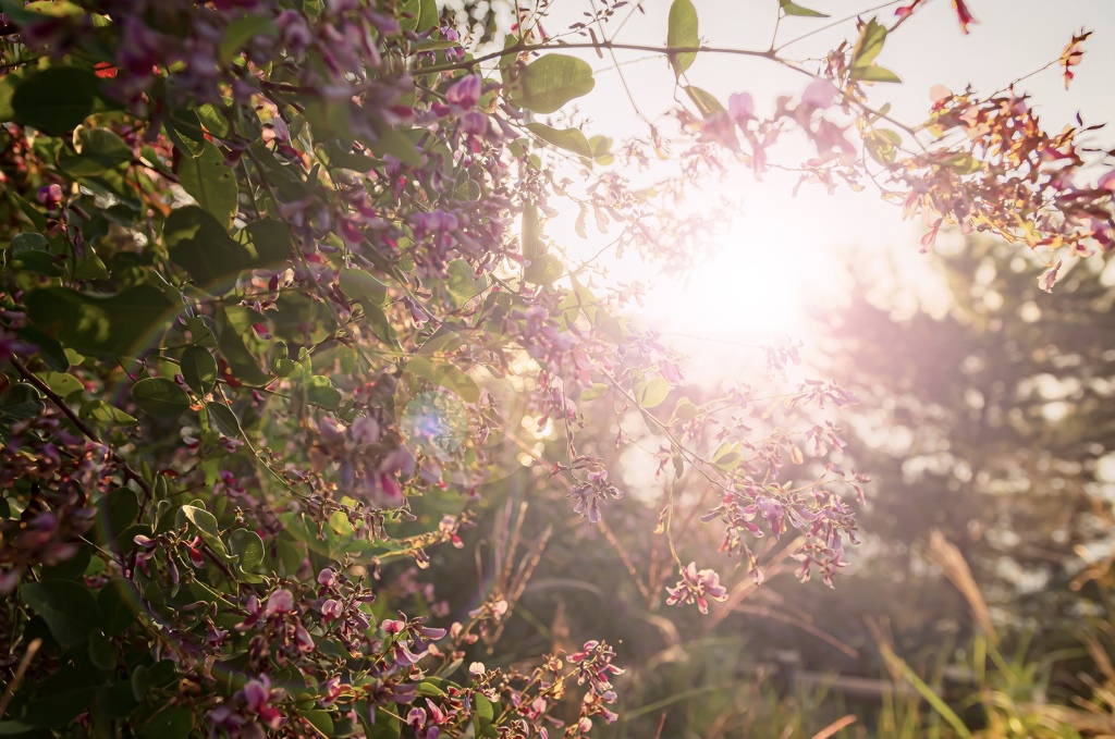 53BE2301-A031-40CE-86F6-12770214931E