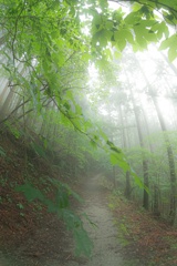 雨