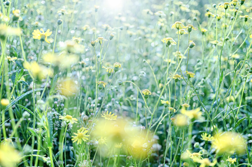 E374A8C5-6BAA-441B-89CA-BADB0AB61198