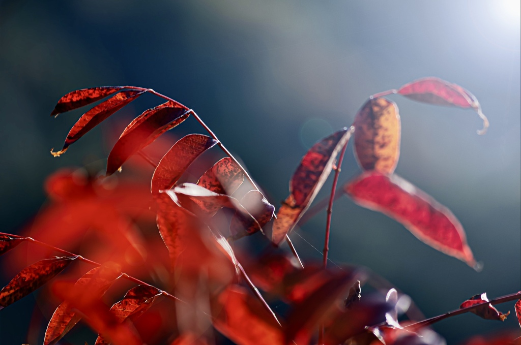 3EADD7CE-2746-4DE3-90ED-944152DAA67A