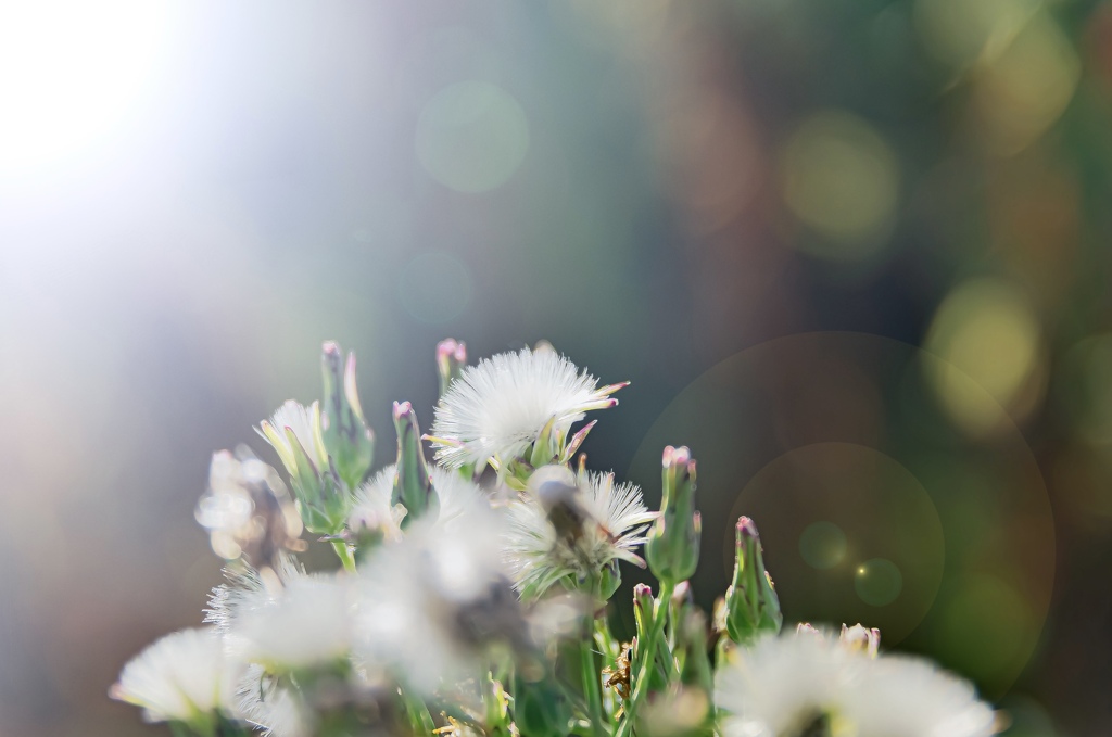 23EBEB11-6DCD-4D07-9B22-16700B78B46F