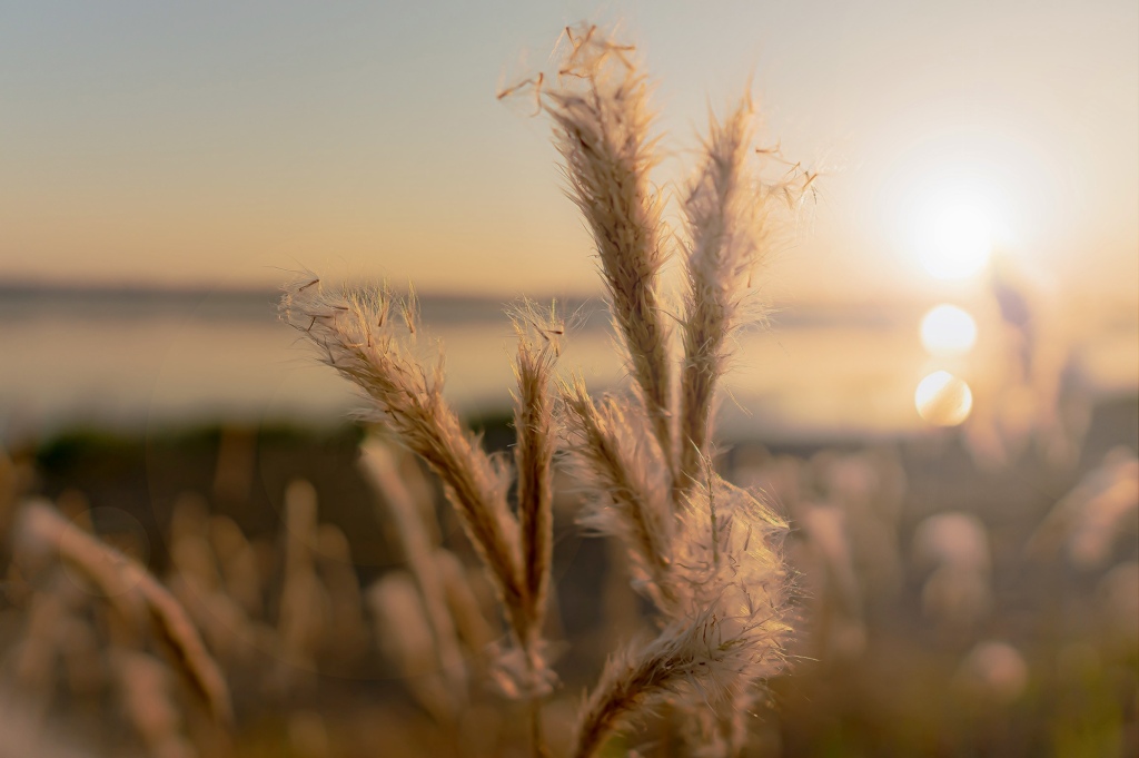 19E52EE7-E52F-4911-AE6D-621C75375D6C