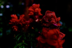 F990E0E0-F306-432F-B565-49E0513BB7E4