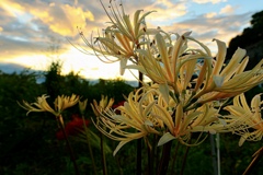 171D9D34-6791-4038-A427-41D71F1A47DD