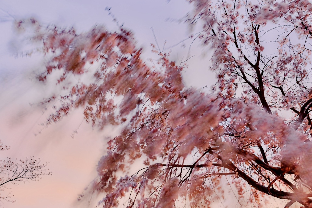 4CE2D39D-25AE-4C06-9917-B982527F3EFD
