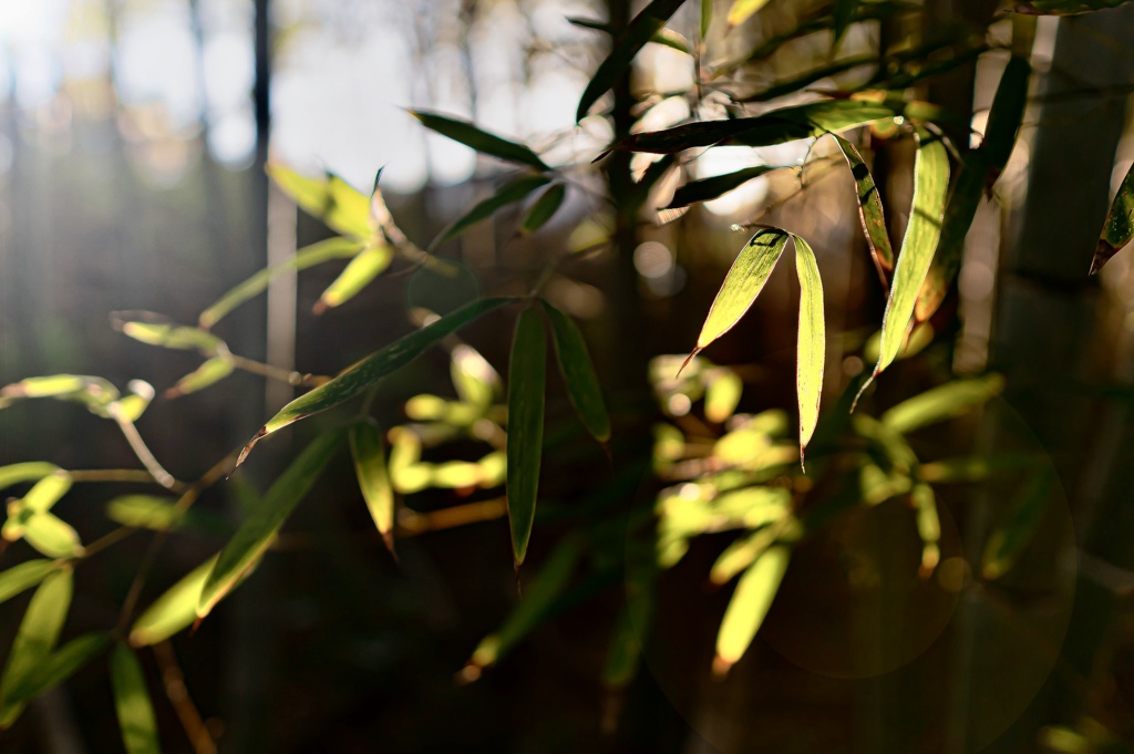 286DCF09-D2AF-4C80-8284-D4FA6A631B73