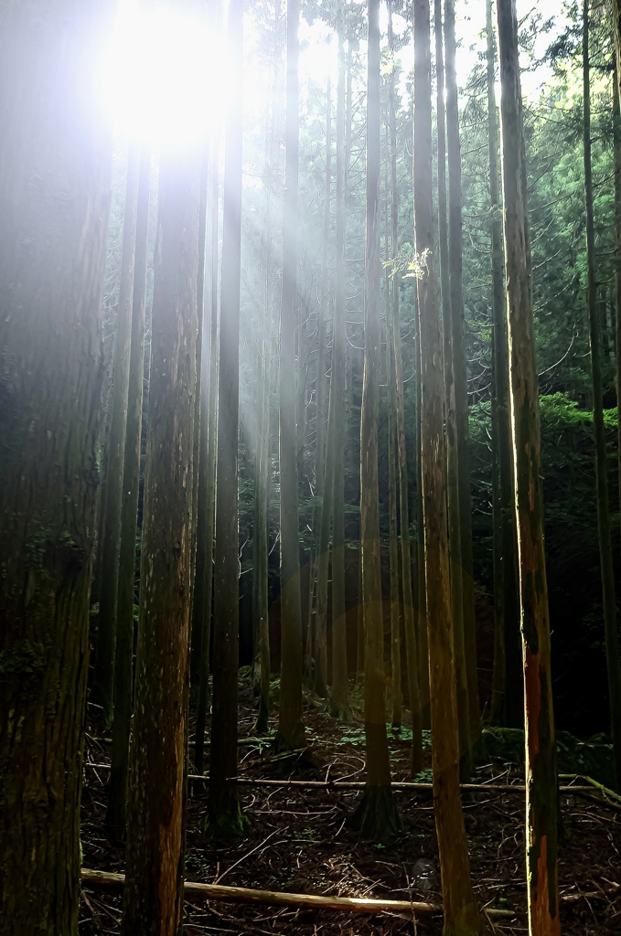 BB2E0CB2-204D-4D54-BE0D-E167796FC736