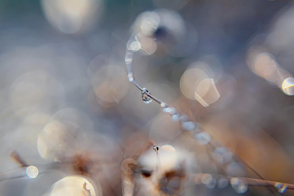 雨粒