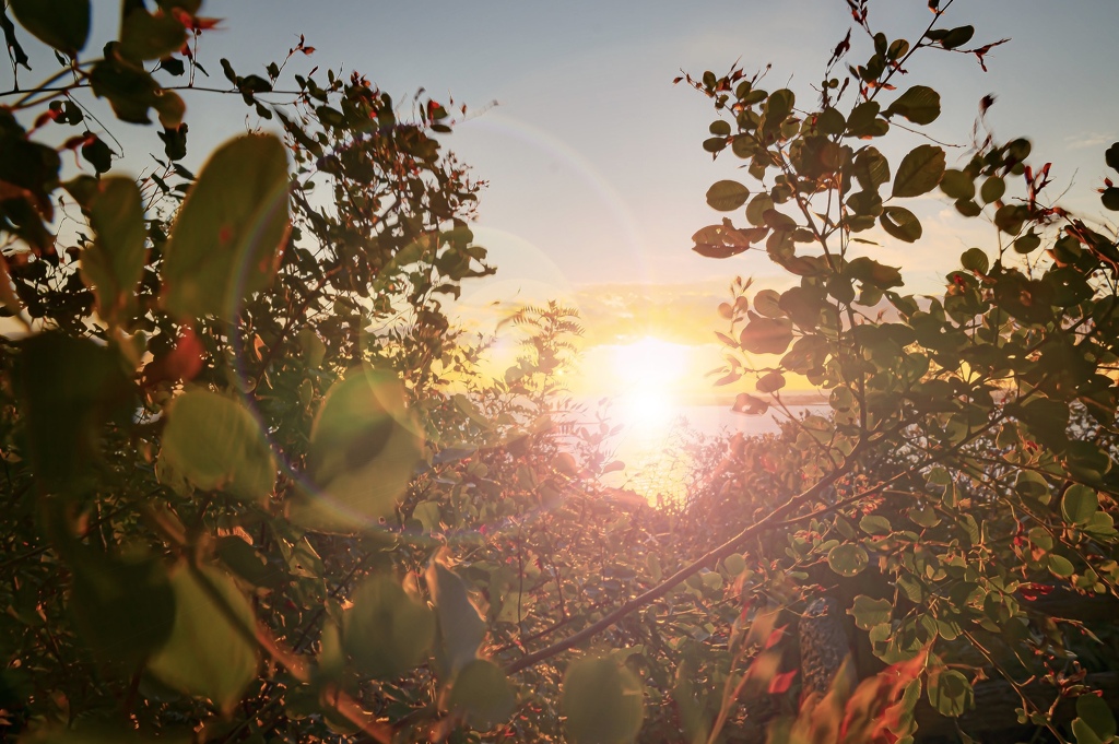 57810B9B-2668-43A9-935D-BBFB8A84DD3F