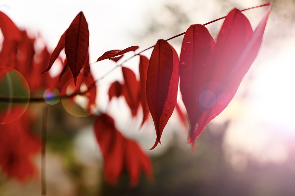 DEA3017E-3609-4B25-A009-BE8C3F495D1C