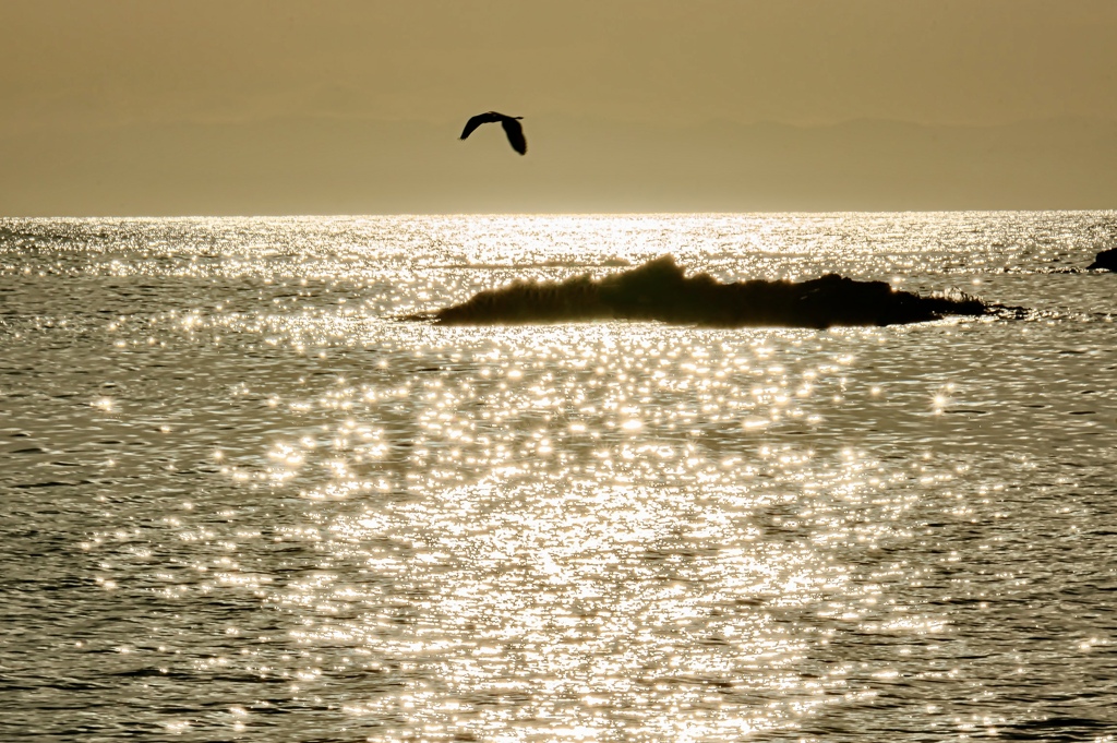 C0289EF4-35A0-4F70-A011-53BD838AA8FF