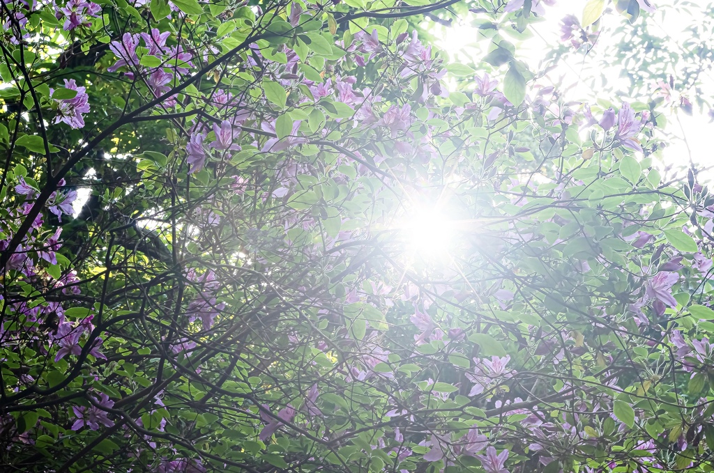 BDFCFCA9-D4F5-4579-B9F7-EC9827B0B2ED