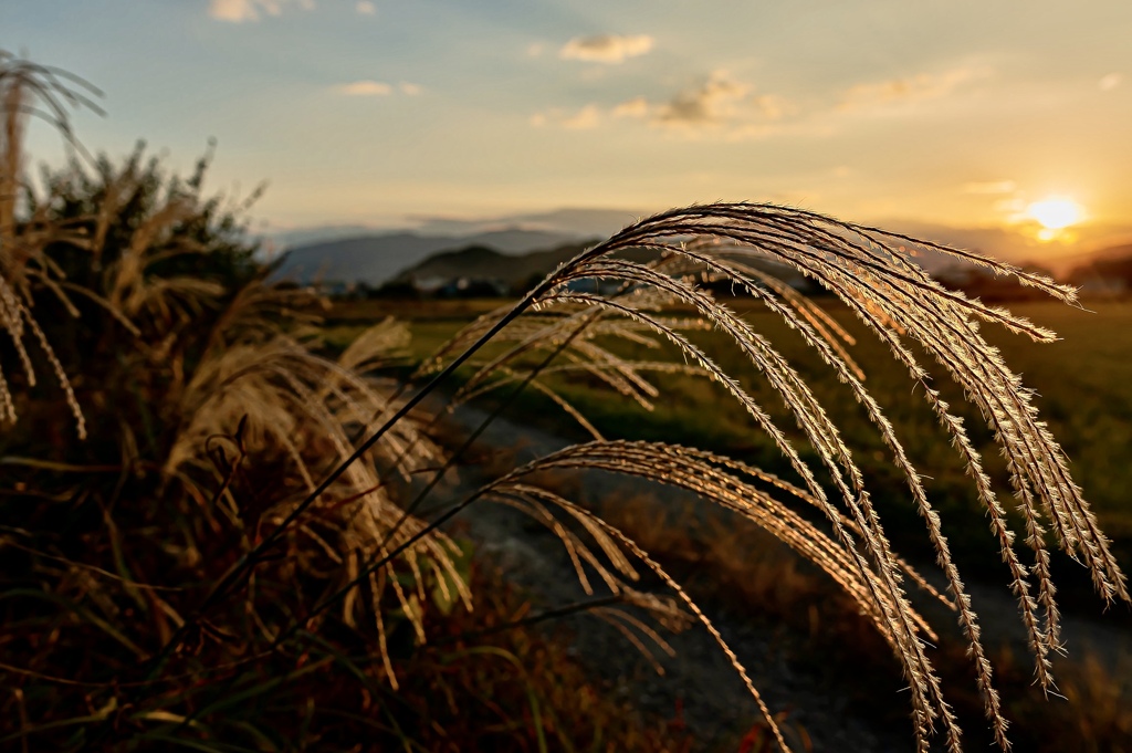 C8CE3120-FA4B-44D1-9585-A74FDD74DA1D