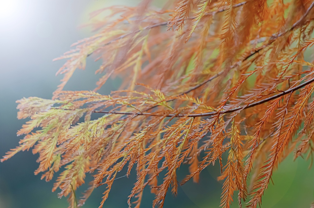 F0DC8608-919D-4685-9AC8-EE85AD94EDBA