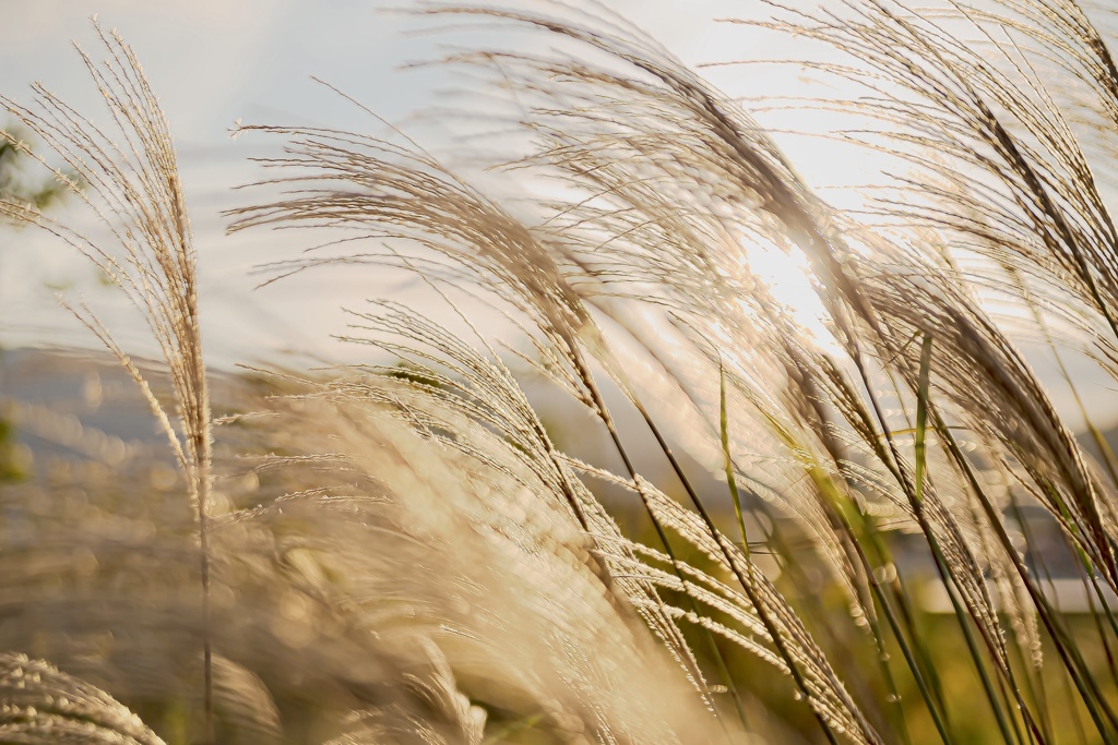 AF3F6DEF-095F-4ED6-8ACA-4C7A032E689C