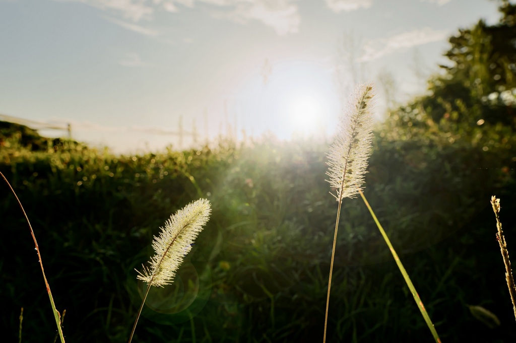 EF721D34-A125-4E4F-B2F4-CDE6B7398189