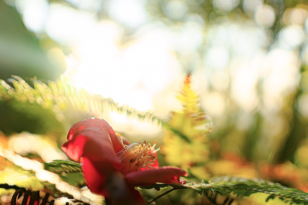 Dust flower