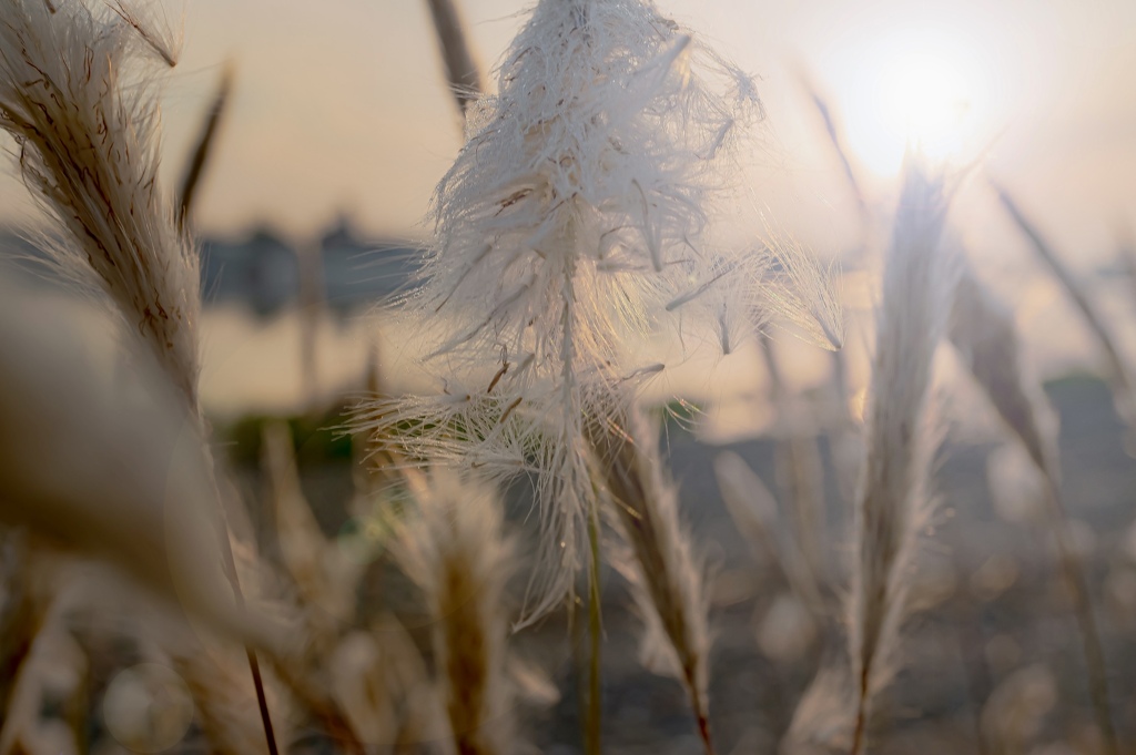 9BAFB1F7-5A73-4A99-BE1E-2831C94E8B88