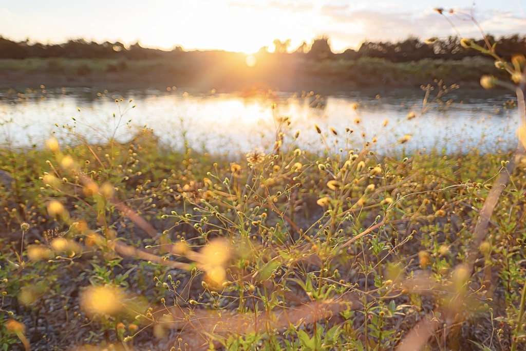 Sunlight 