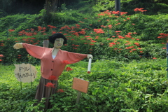 カカシと彼岸花1