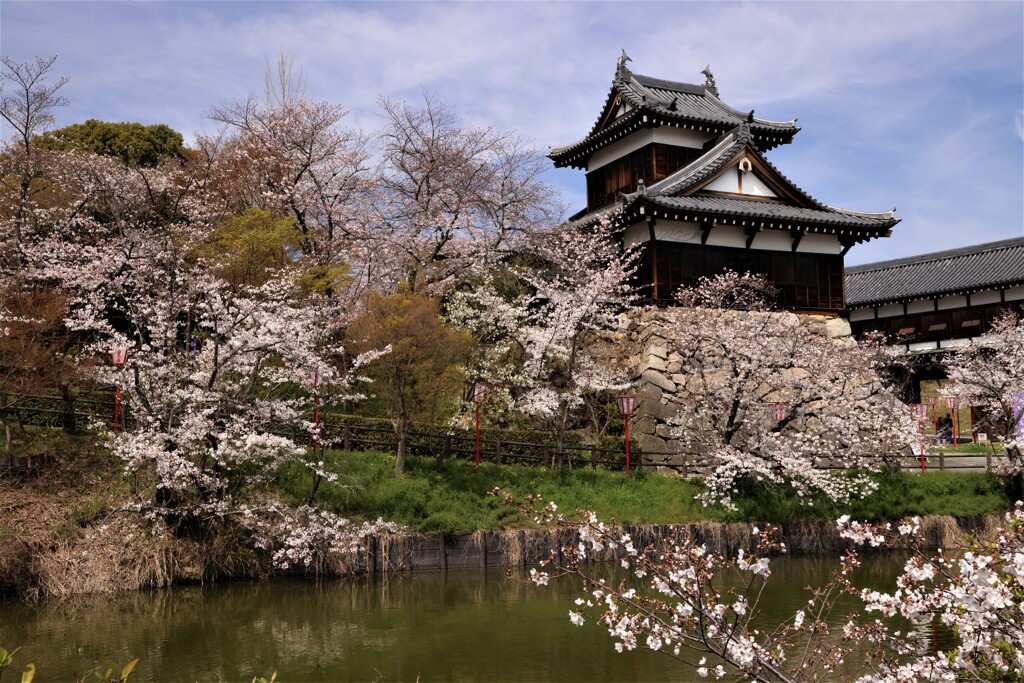 郡山城1